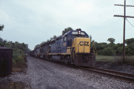 A202412296