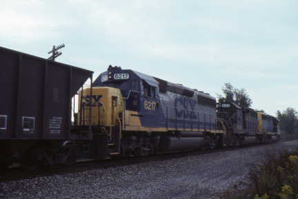 A202412297