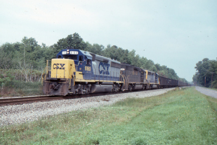 A202412295