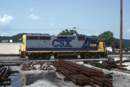 A202412299