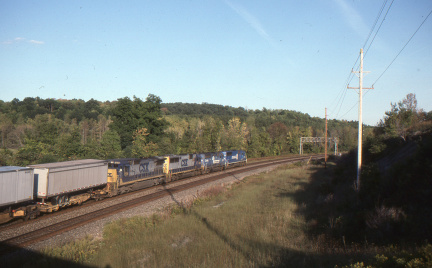 A202412306