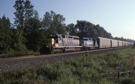A202412312
