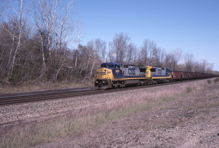 A202412313