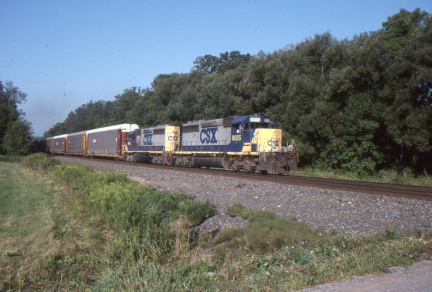 A202412310
