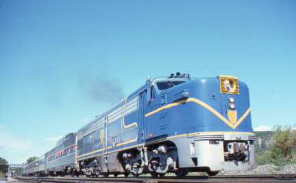 A202412383