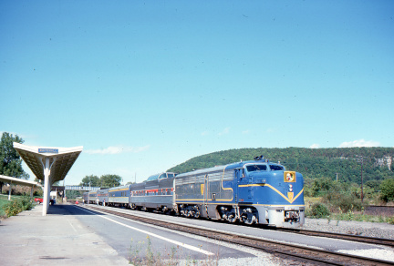 A202412382