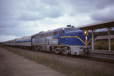 A202412386