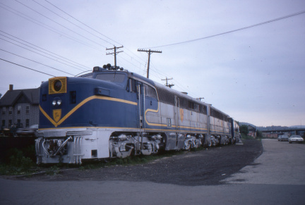 A202412385