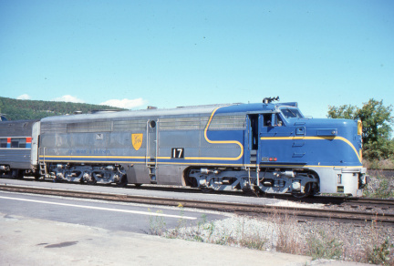 A202412384