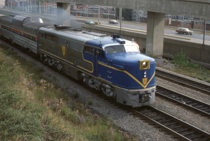 A202412389