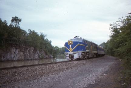 A202412388
