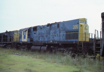 A202412394
