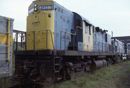 A202412393