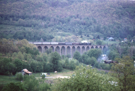 A202412398
