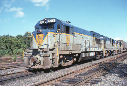A202412593