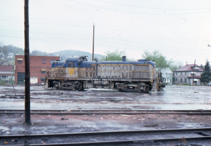 A202412599