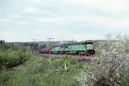 A202501143
