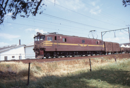 A202501359