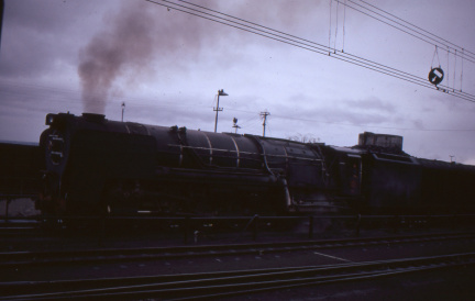 A202501363