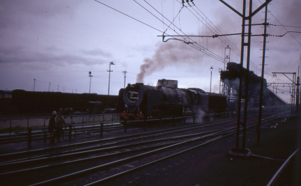 A202501364