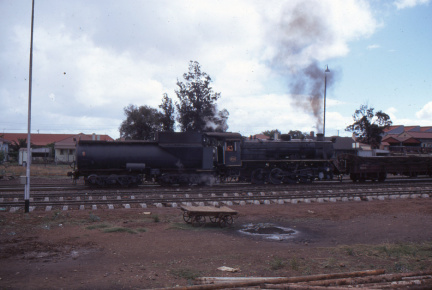 A202501369
