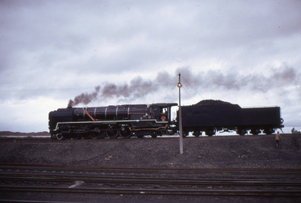 A202501368
