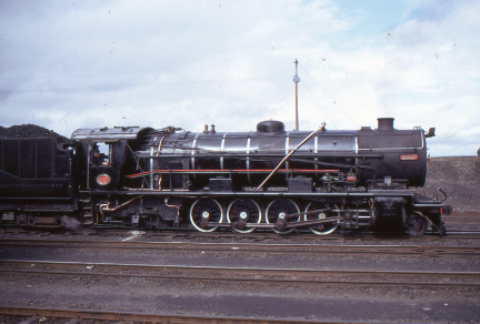 A202501367