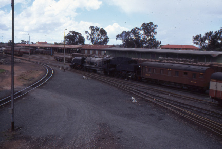 A202501371