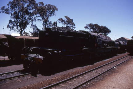 A202501377