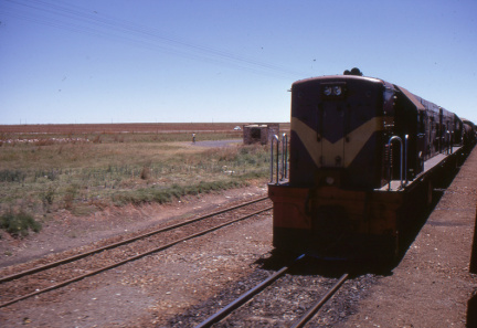 A202501375