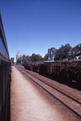 A202501376