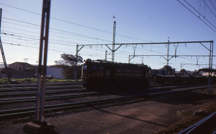 A202501381