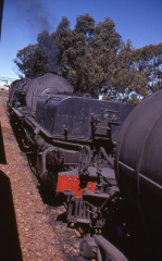 A202501378
