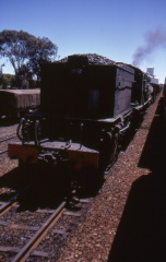 A202501379