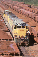 A202501529