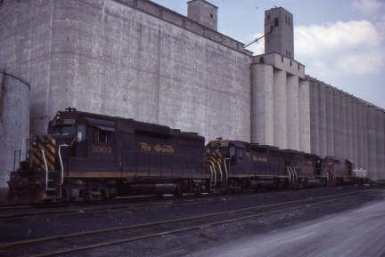 A202501547