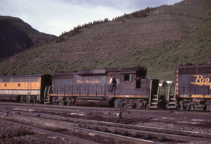 A202501554