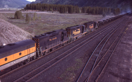 A202501552