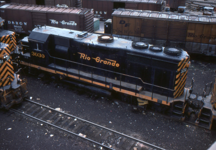A202501557