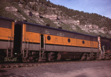 A202501591