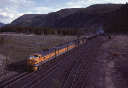 A202501595