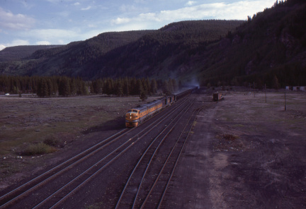 A202501594