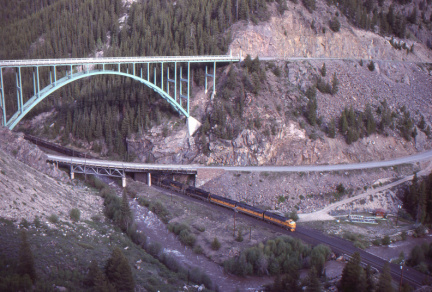 A202501596