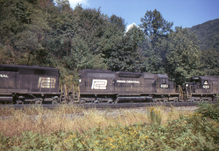 A202502434