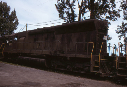 A202502438