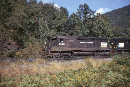 A202502443