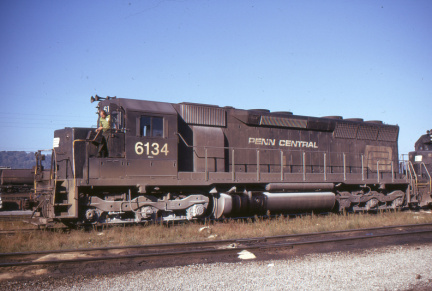 A202502446