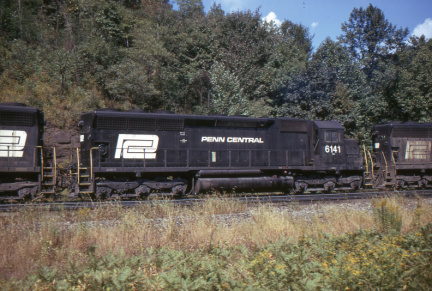 A202502447