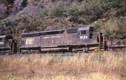 A202502445