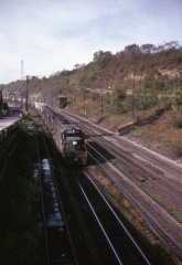 A202502455